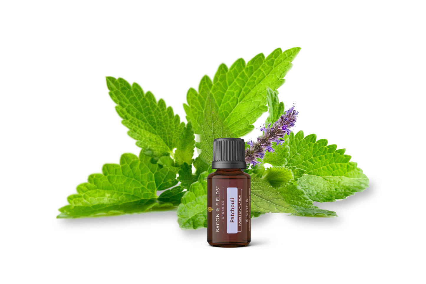 Patchouli Organic Essential Oil 15 mL