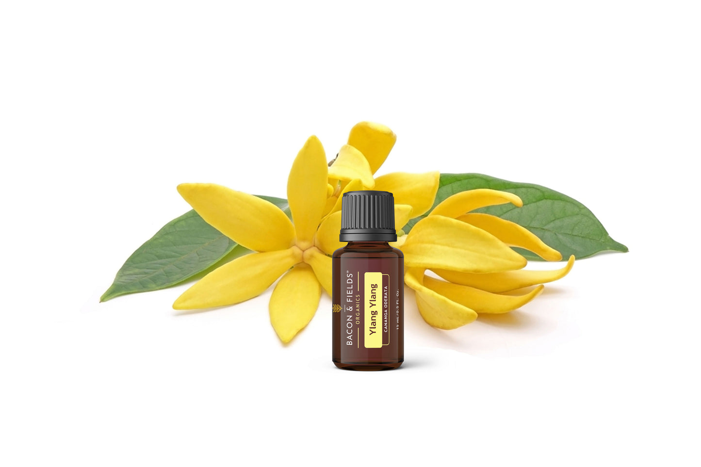 Ylang Ylang Organic Essential Oil 15 mL