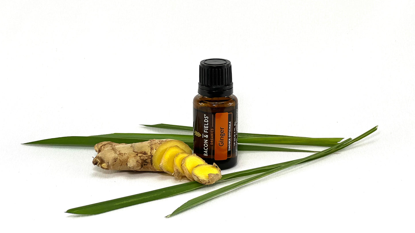 Ginger Organic essential Oil 15 mL