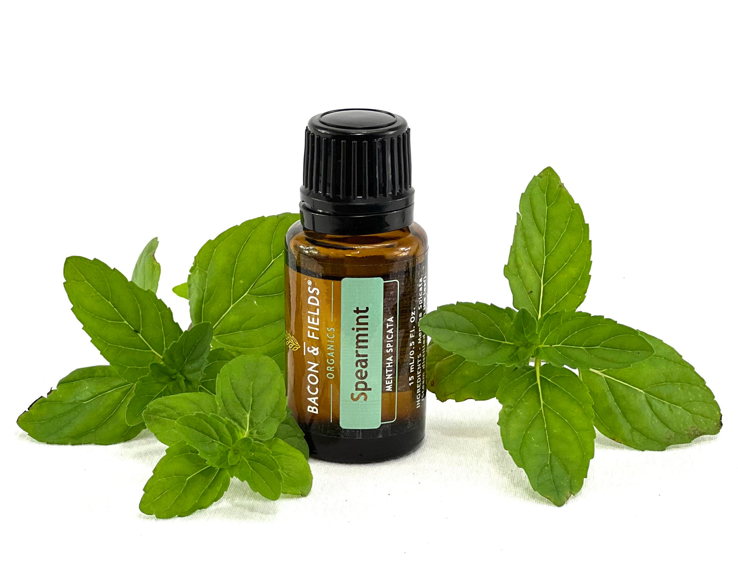 Spearmint Organic Essential Oil 15 mL