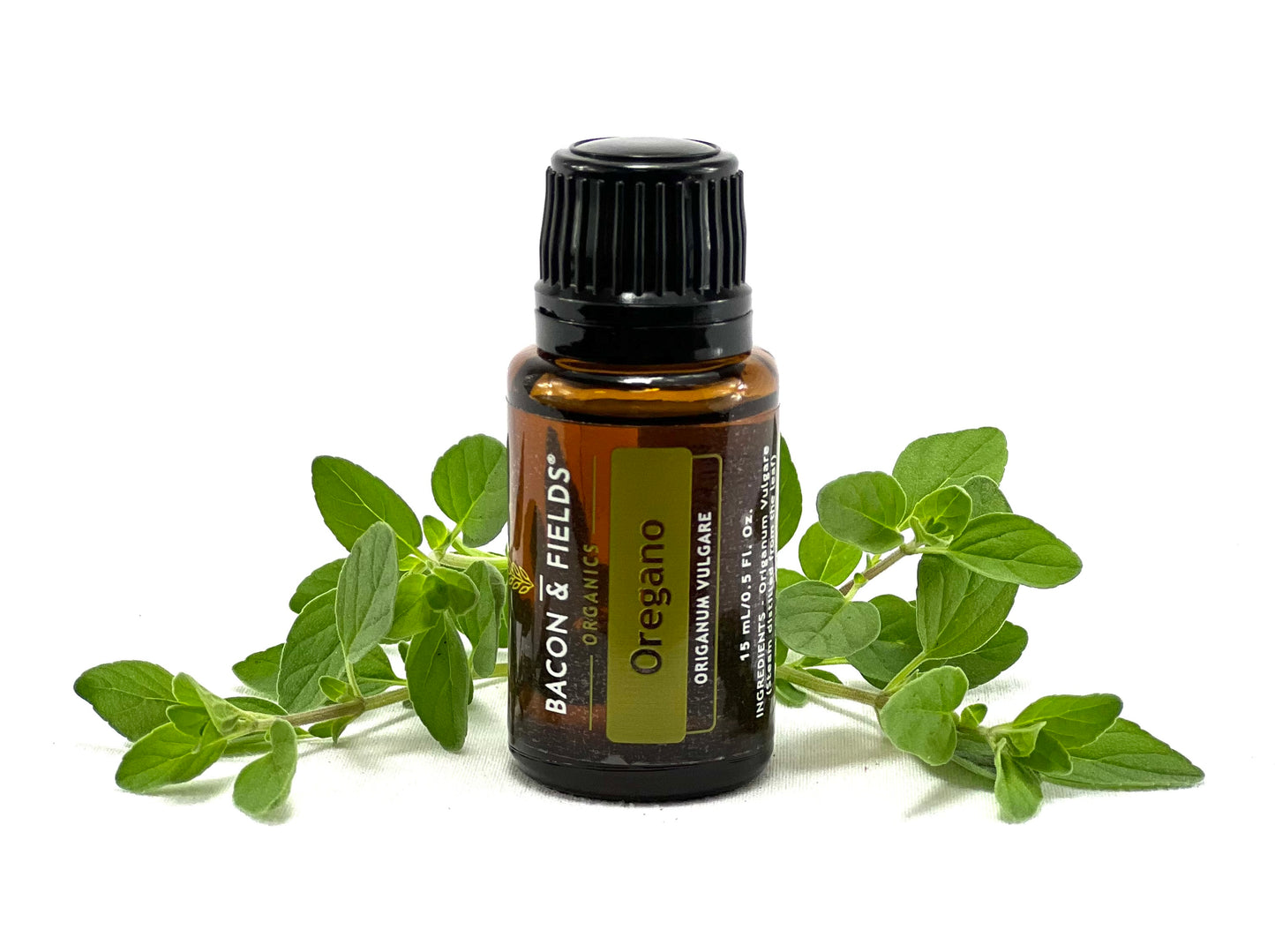 Oregano Organic Essential Oil 15 mL