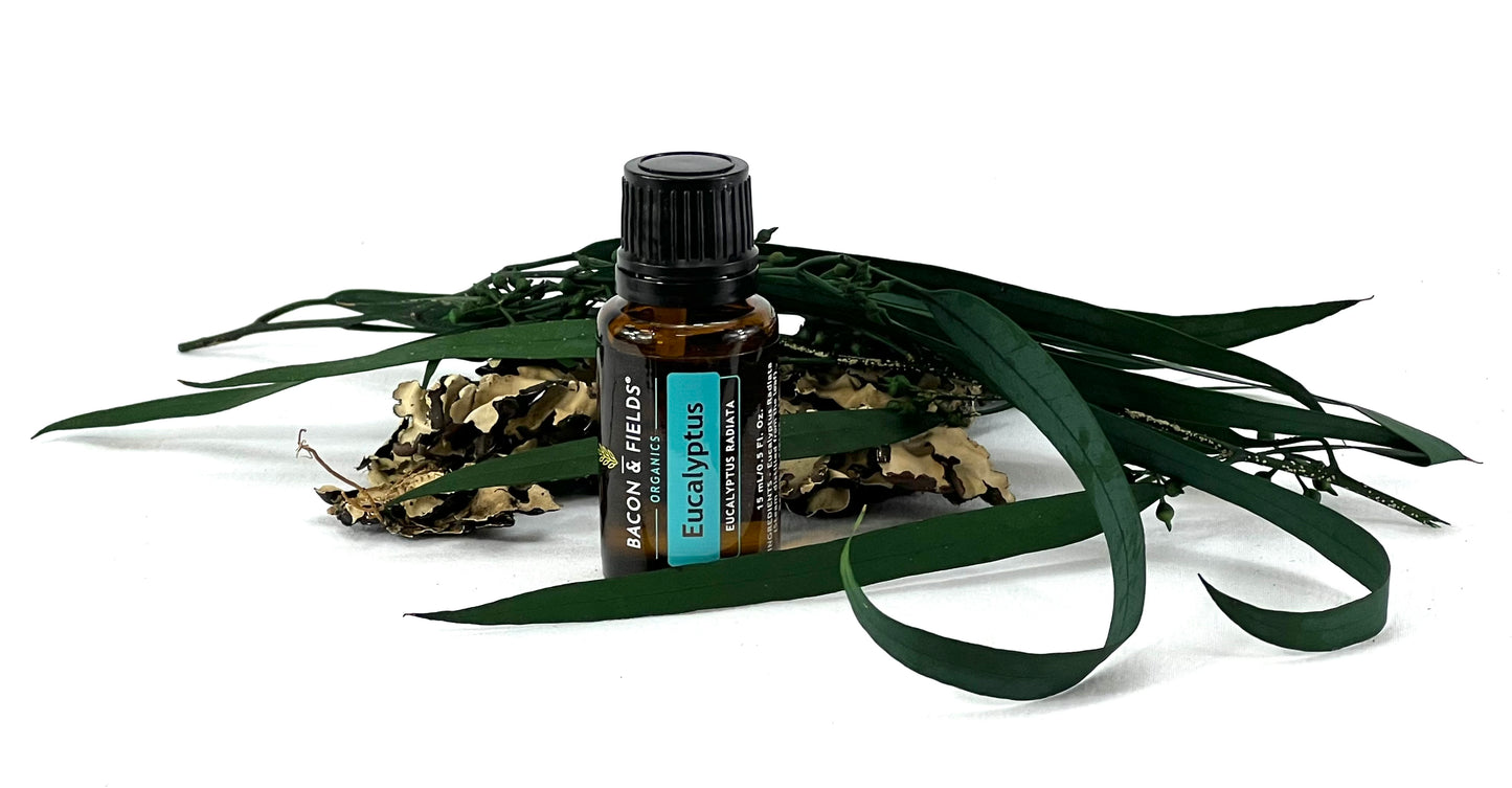 Eucalyptus Organic Essential Oil 15 mL